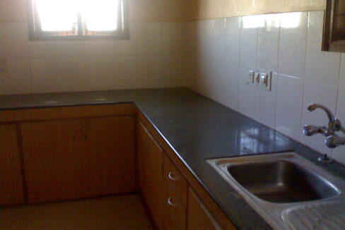 WhatsApp Image 2026-02-12 at 8.53.10 PM