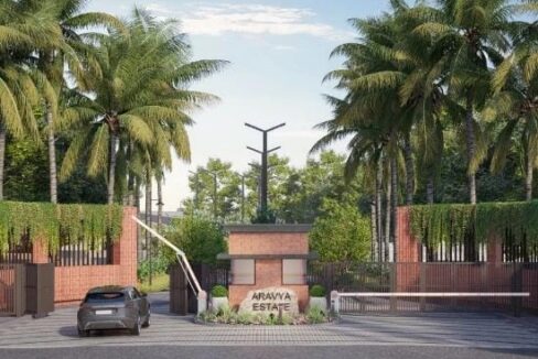 WhatsApp Image 2026-02-12 at 9.20.33 PM (1)