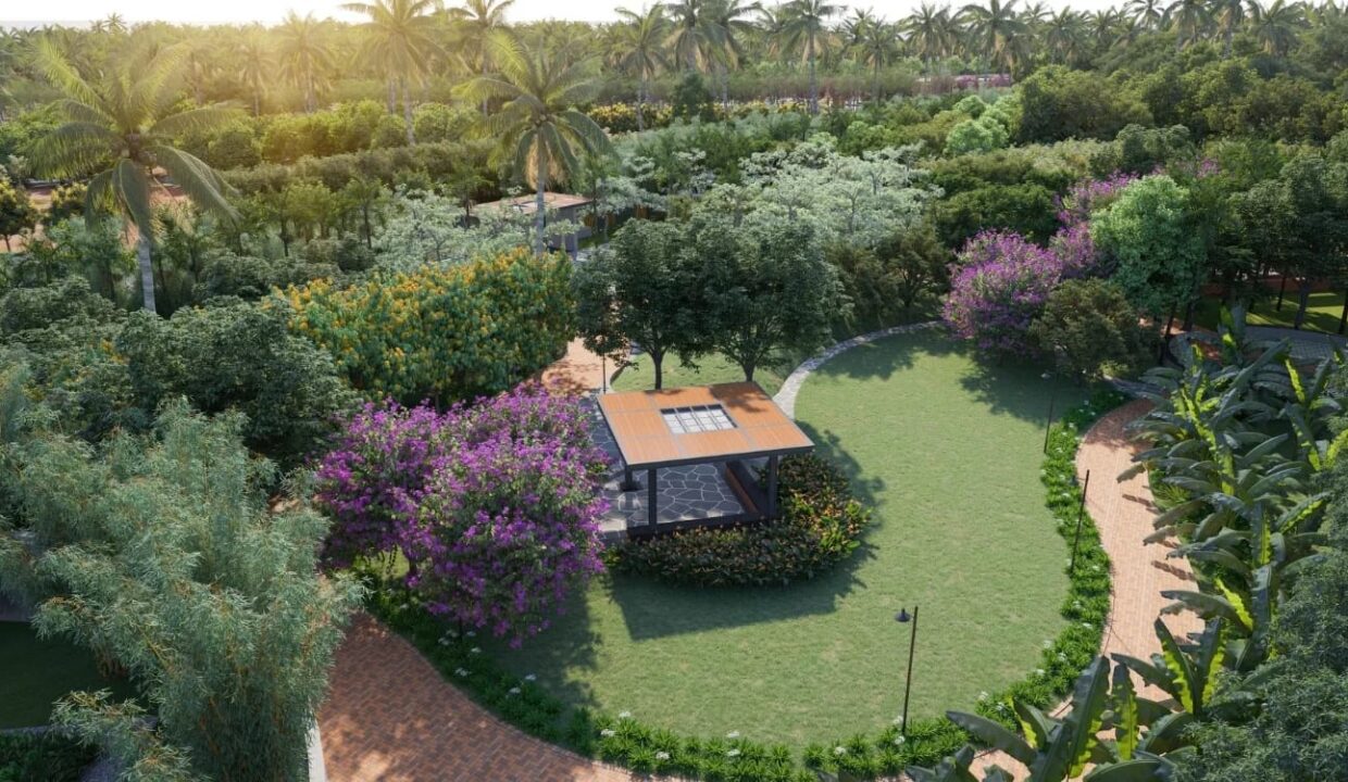 WhatsApp Image 2026-02-12 at 9.20.34 PM