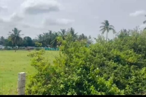 WhatsApp Image 2026-02-13 at 4.34.11 PM (1)