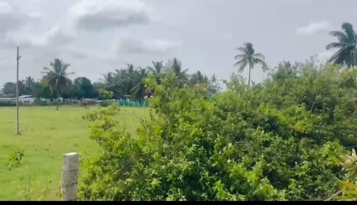 WhatsApp Image 2026-02-13 at 4.34.11 PM (1)