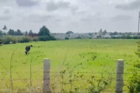 WhatsApp Image 2026-02-13 at 4.34.12 PM