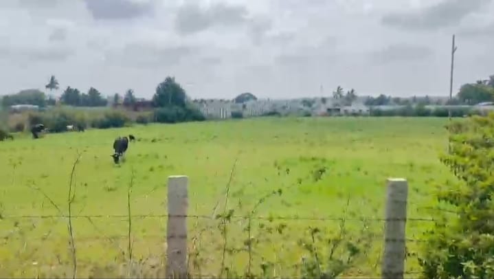 WhatsApp Image 2026-02-13 at 4.34.12 PM