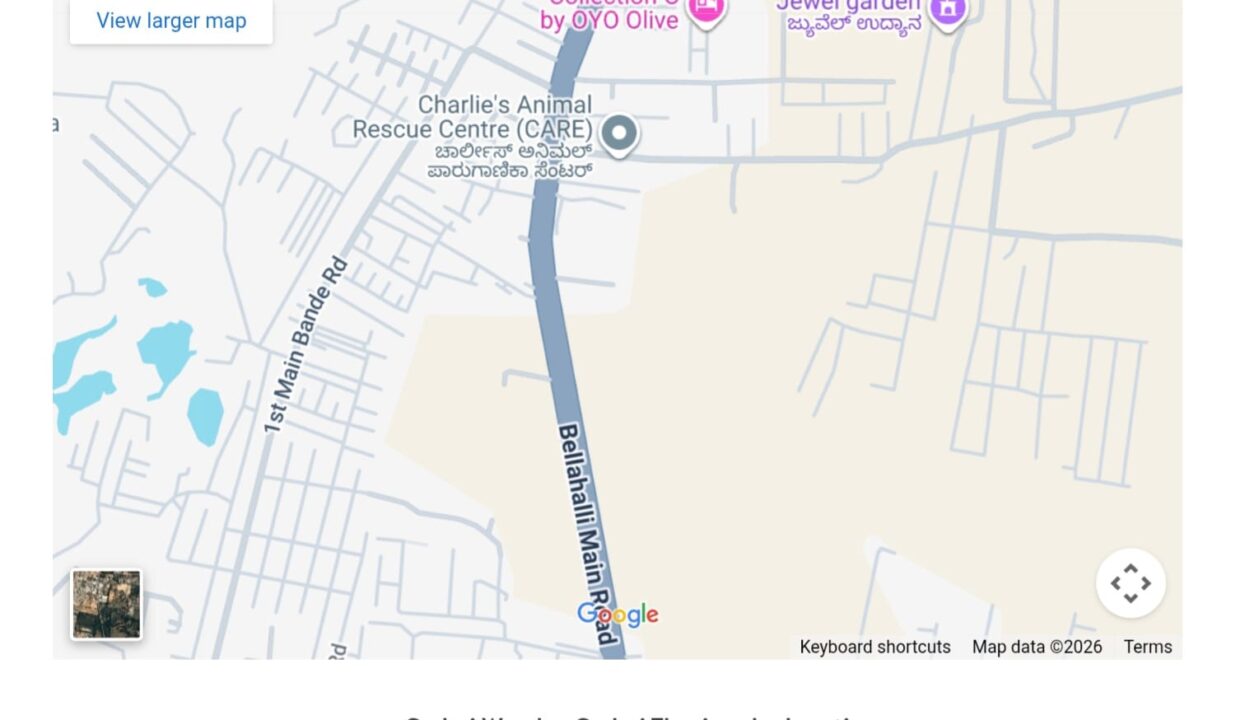 WhatsApp Image 2026-02-14 at 1.02.41 PM