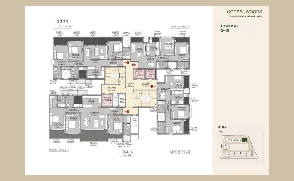 WhatsApp Image 2026-02-14 at 1.02.44 PM