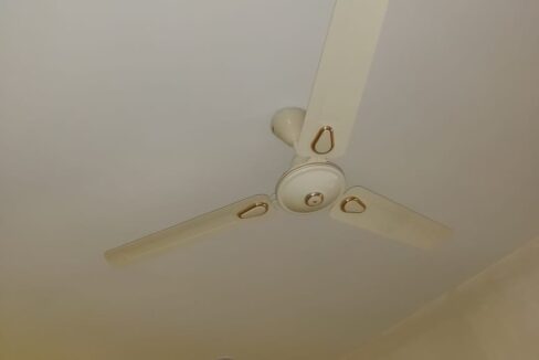 WhatsApp Image 2026-02-14 at 10.51.40 PM