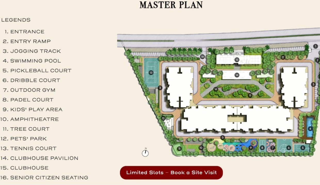 WhatsApp Image 2026-02-14 at 4.50.36 PM