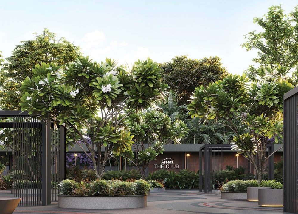 WhatsApp Image 2026-02-15 at 11.34.04 AM