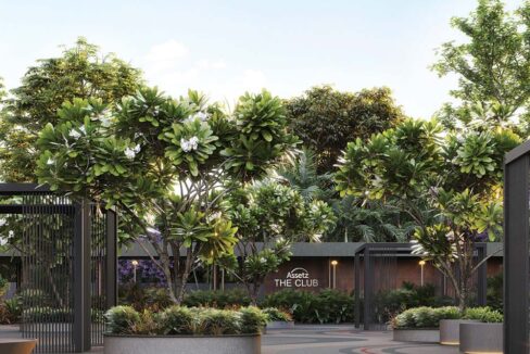 WhatsApp Image 2026-02-15 at 11.34.04 AM