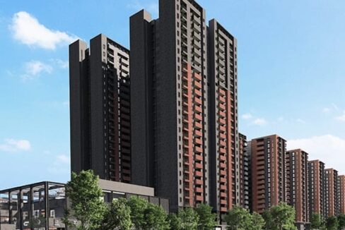 WhatsApp Image 2026-02-15 at 4.21.50 PM (1)