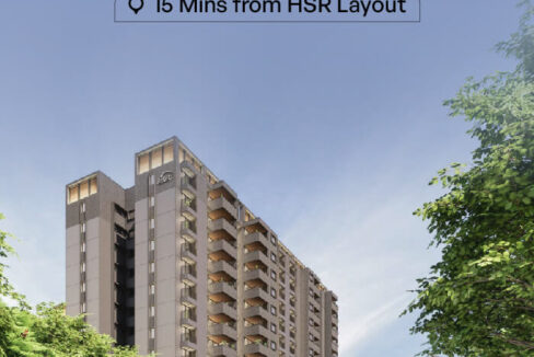 WhatsApp Image 2026-02-16 at 6.23.56 PM