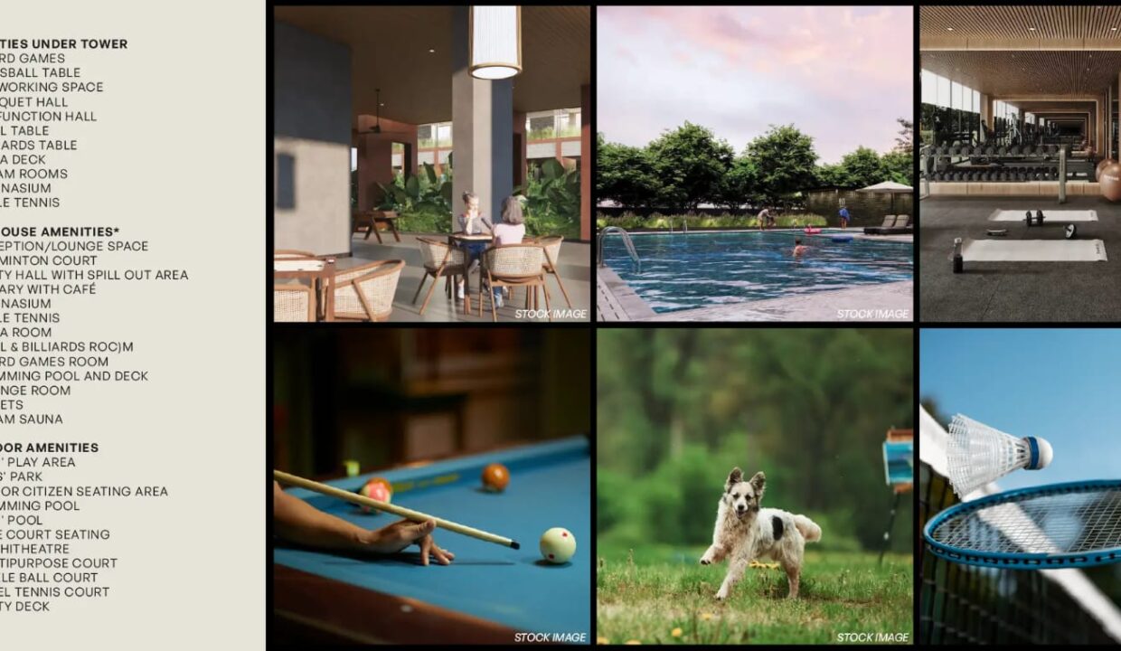 WhatsApp Image 2026-02-16 at 6.24.00 PM