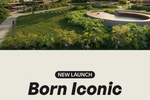 WhatsApp Image 2026-02-16 at 8.05.46 PM