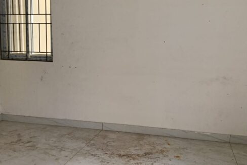 WhatsApp Image 2026-02-17 at 11.13.15 AM