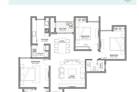 WhatsApp Image 2026-02-17 at 12.16.39 PM (1)