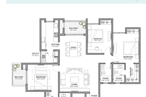 WhatsApp Image 2026-02-17 at 12.16.39 PM (2)