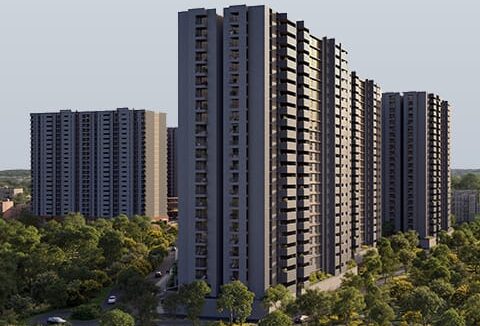 WhatsApp Image 2026-02-17 at 2.53.49 PM (3)