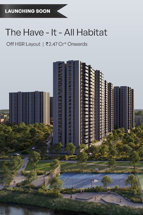 WhatsApp Image 2026-02-17 at 2.53.49 PM (3)