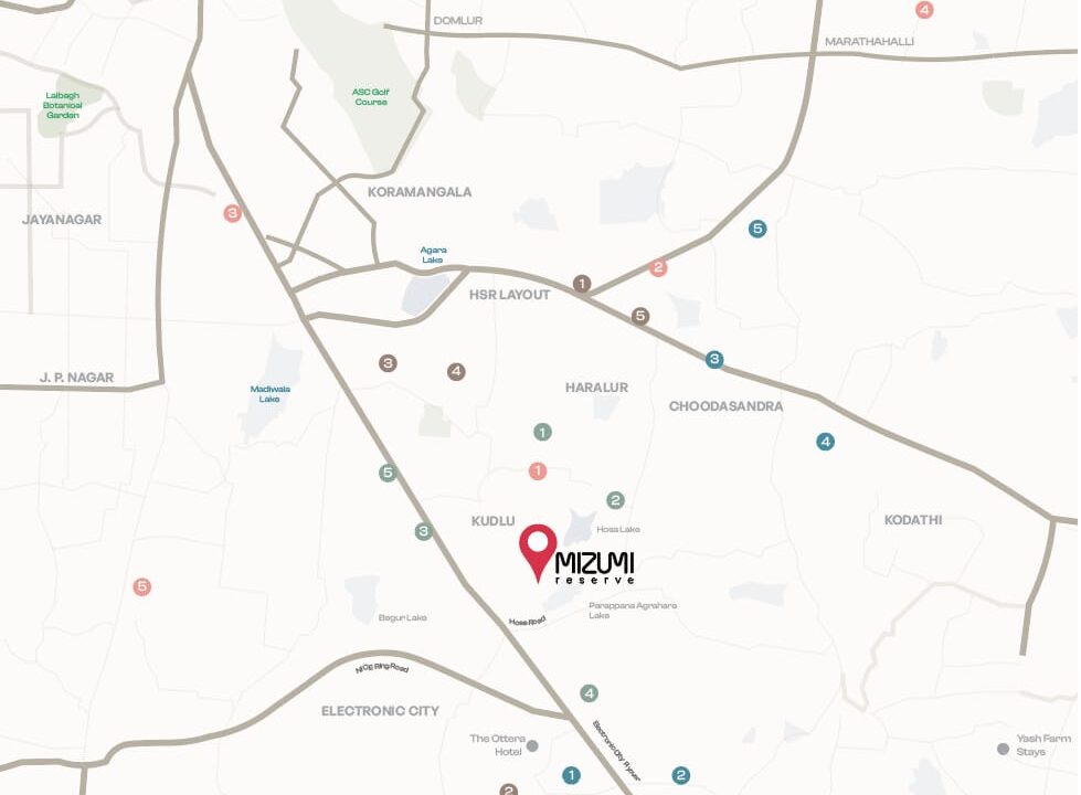 WhatsApp Image 2026-02-17 at 2.53.50 PM (1)