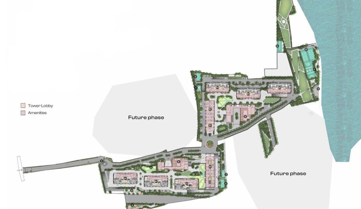 WhatsApp Image 2026-02-17 at 2.53.50 PM