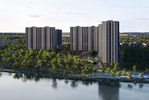 WhatsApp Image 2026-02-17 at 2.53.50 PM (2)