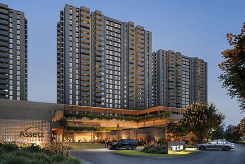 WhatsApp Image 2026-02-17 at 2.53.53 PM