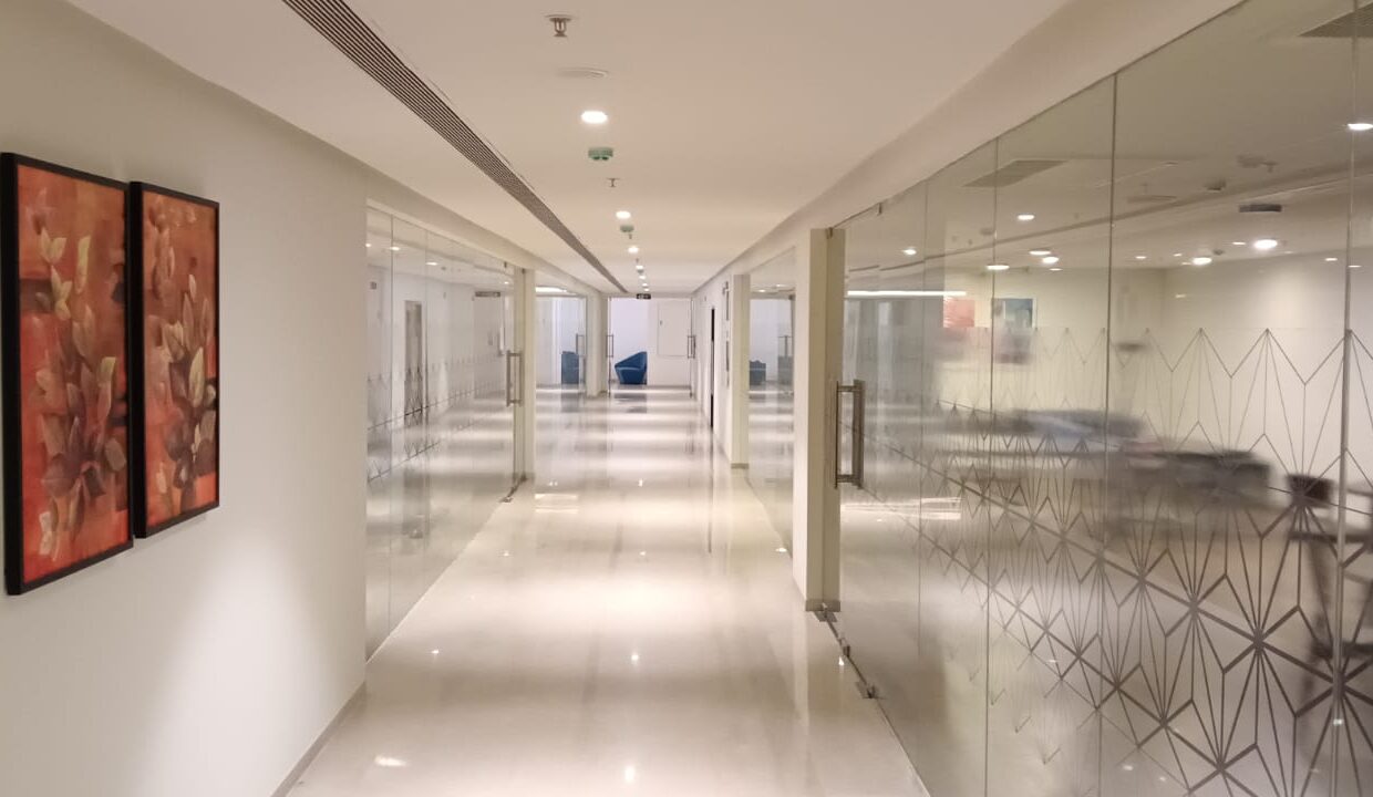 WhatsApp Image 2026-02-18 at 12.04.54 PM