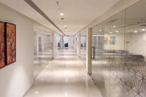 WhatsApp Image 2026-02-18 at 12.04.54 PM