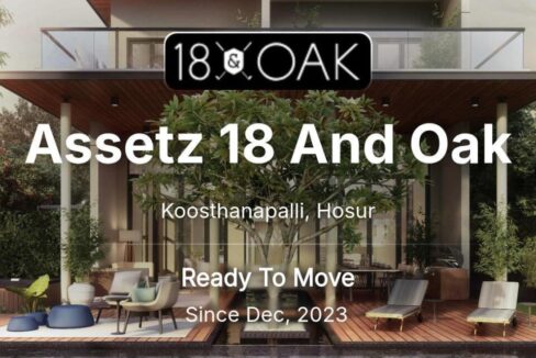 WhatsApp Image 2026-02-18 at 6.09.26 PM (2)