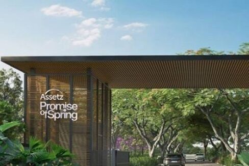 WhatsApp Image 2026-02-19 at 1.25.07 PM (1)