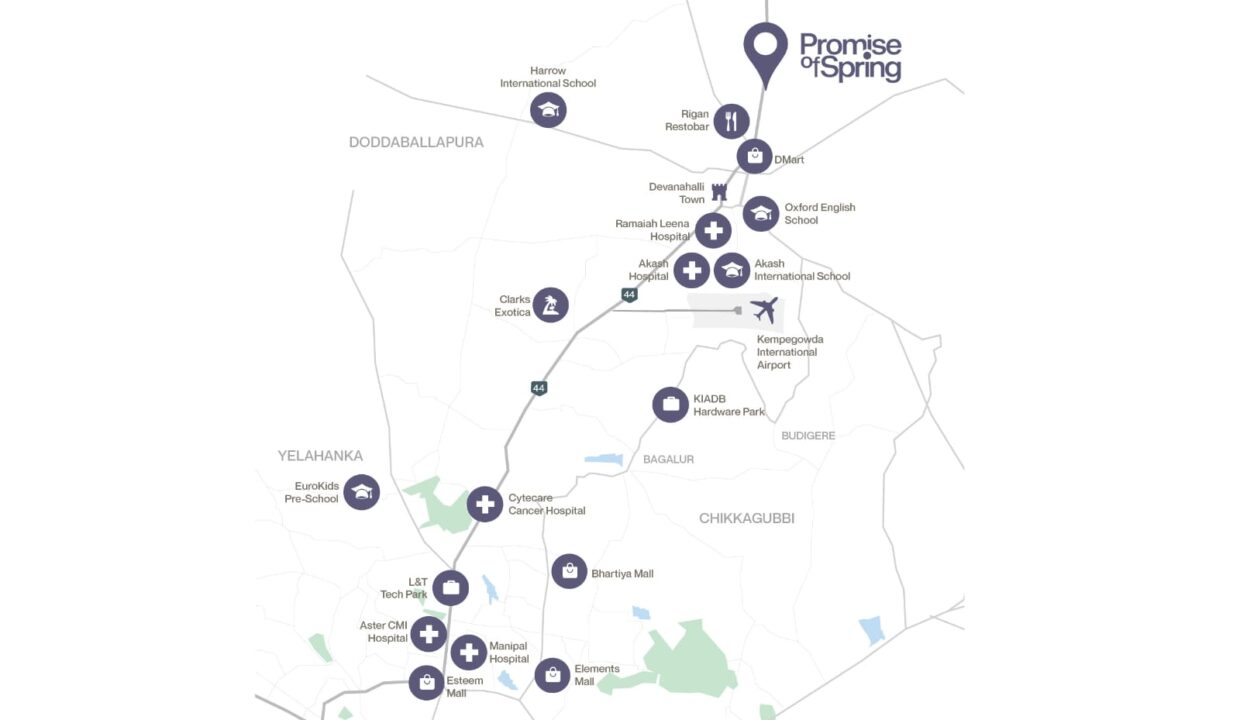 WhatsApp Image 2026-02-19 at 1.25.07 PM