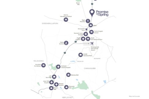 WhatsApp Image 2026-02-19 at 1.25.07 PM