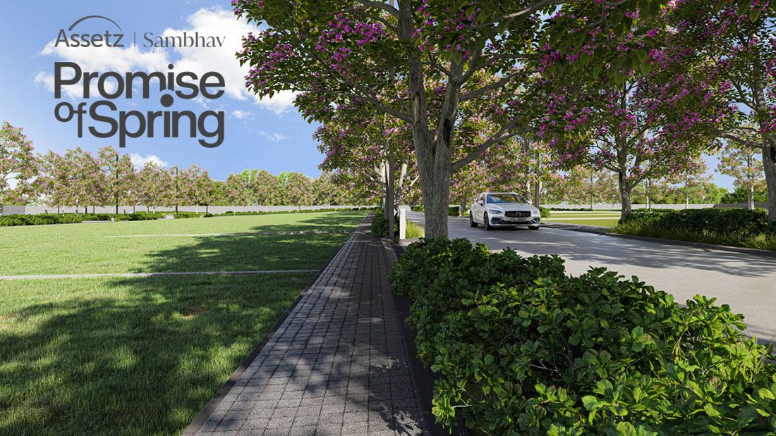 WhatsApp Image 2026-02-19 at 1.25.09 PM (2)