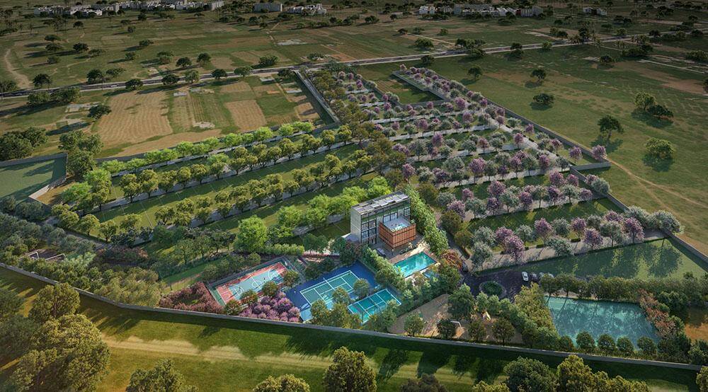 WhatsApp Image 2026-02-19 at 1.25.09 PM