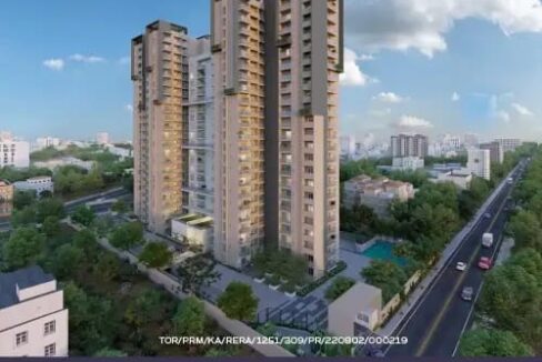 WhatsApp Image 2026-02-19 at 12.20.20 PM (2)