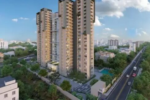 WhatsApp Image 2026-02-19 at 12.20.21 PM (1)