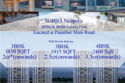 WhatsApp Image 2026-02-19 at 3.25.56 PM (1)