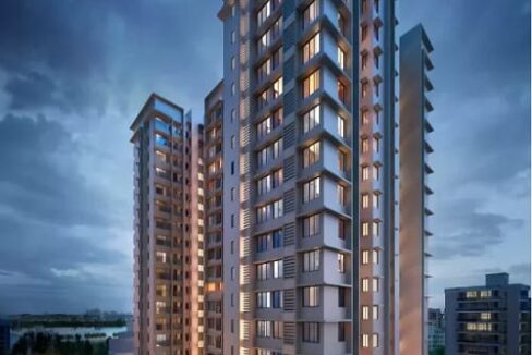 WhatsApp Image 2026-02-19 at 3.25.57 PM (1)