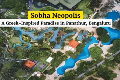 WhatsApp Image 2026-02-19 at 3.25.57 PM