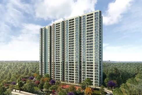 WhatsApp Image 2026-02-19 at 4.20.25 PM (2)