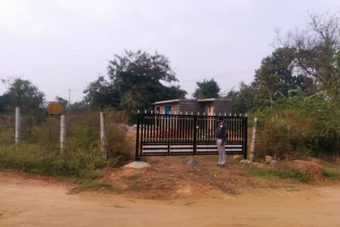 WhatsApp Image 2026-02-19 at 5.08.24 PM (1)