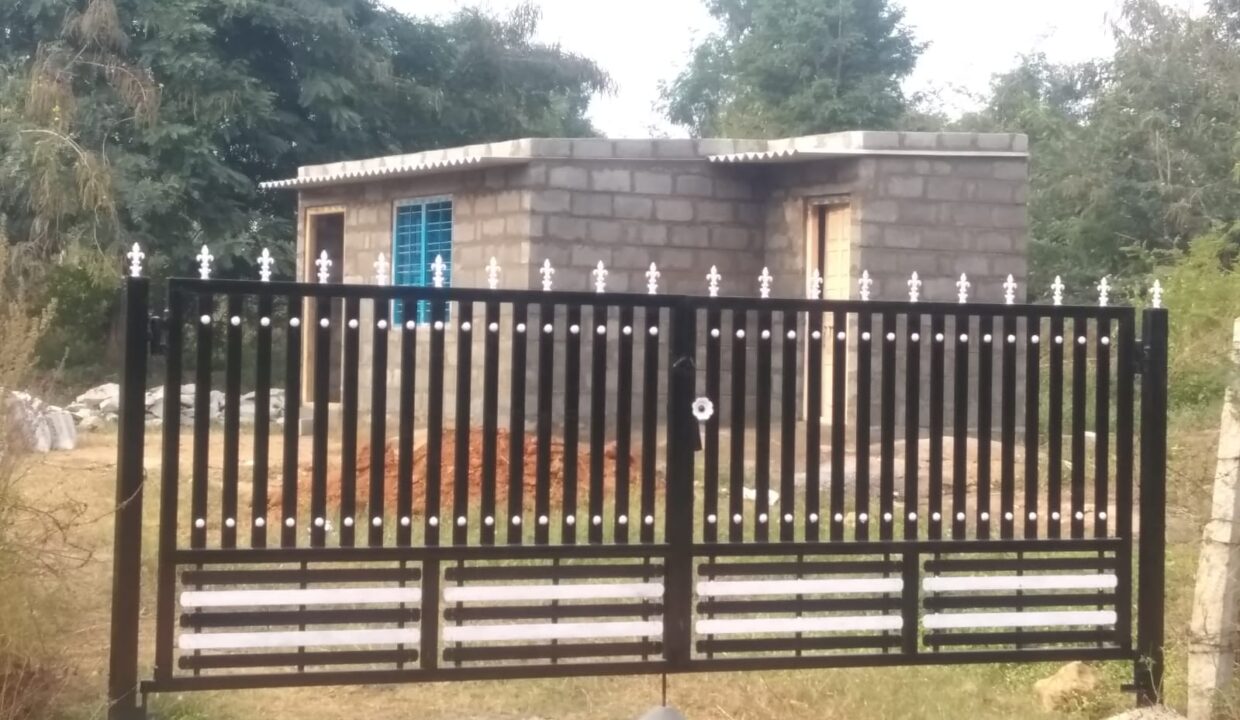 WhatsApp Image 2026-02-19 at 5.08.24 PM