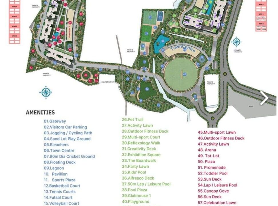 WhatsApp Image 2026-02-20 at 11.09.12 AM (1)