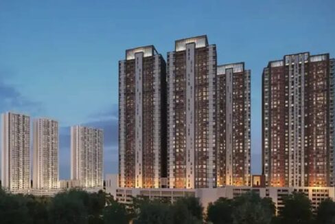 WhatsApp Image 2026-02-20 at 11.09.14 AM