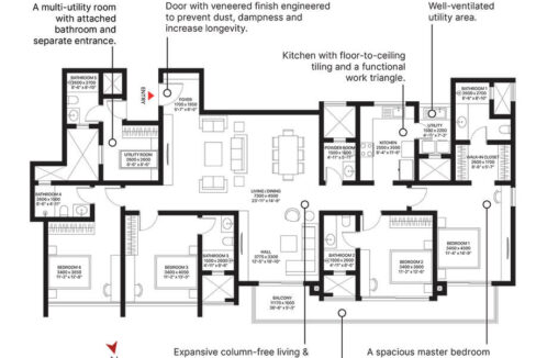 WhatsApp Image 2026-02-20 at 11.50.53 AM (1)