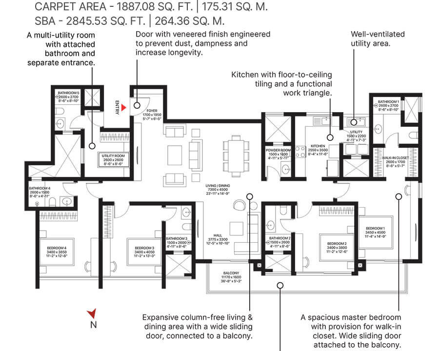 WhatsApp Image 2026-02-20 at 11.50.53 AM (1)