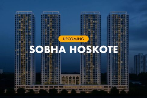 WhatsApp Image 2026-02-21 at 12.18.06 PM