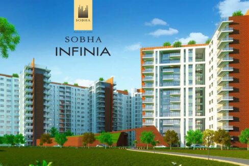 WhatsApp Image 2026-02-21 at 2.26.38 PM (2)