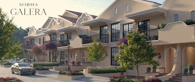 WhatsApp Image 2026-02-21 at 3.57.03 PM