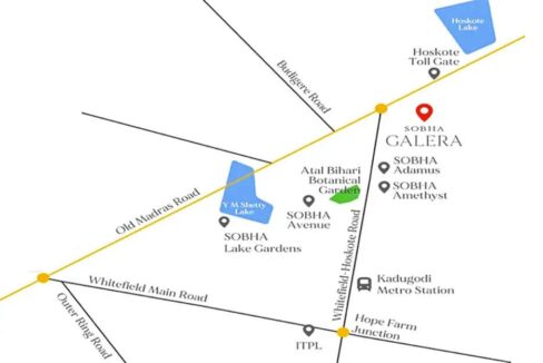 WhatsApp Image 2026-02-21 at 3.57.50 PM